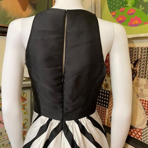 Alfred Sung Black and White Sleeveless Chevron Striped Fit and Flare Maxi Dress - Picture 5 of 7